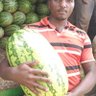 duke the farmer 🍉 profil fotoğrafı