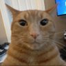 Profilbild von dieguinho