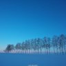 ぴぴ 的头像