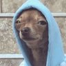 Profilbild von Fellie