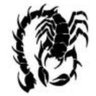 Profilbild von Scorp