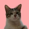 Kerroberos's profile picture