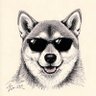 Profilbild von zhaoyuxiang