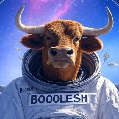 Booolesh's profile picture