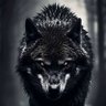Фото профиля BigBadWolf