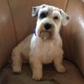 Tiggy Mallinson's profile picture