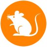 Фото профиля RATS to the moon🚀