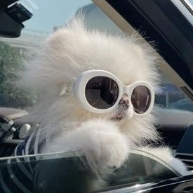 릿코's profile picture