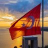 Hani İmparatorluk's profile picture