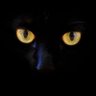 Ogechukwukama's profile picture