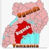 Eseri Kawesa's profile picture