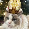 Pope Gravy profil fotoğrafı