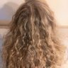 אריאלה profil fotoğrafı