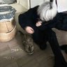 陈浔 的头像