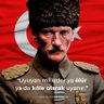Profilbild von murat yilmaz