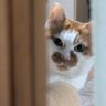 コロン profil fotoğrafı