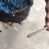 Super bowl 的头像