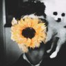 Dasqtya profil fotoğrafı