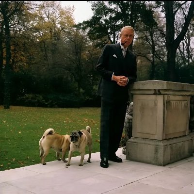 Daniel's profile picture