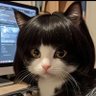 SoSo Luo profil fotoğrafı