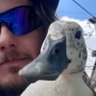 SpiralShaper's profile picture