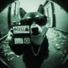 Dogemaster General profil fotoğrafı