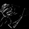 zdev's profile picture