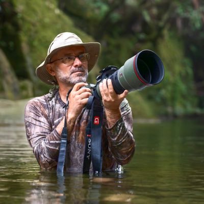 MemoGomezFoto's profile picture