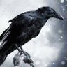 Фото профиля TheRaven