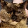 Profilbild von Rachel C