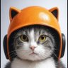 ぴょん's profile picture