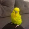 emin deilim profil fotoğrafı