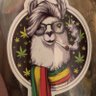 Papa llama🦙🤘 profil fotoğrafı
