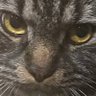 adriartilol 🔻451's profile picture
