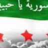 maamoun alsholi's profile picture