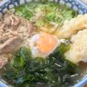 Profilbild von う どん
