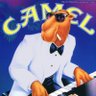 Joseph Camel profil fotoğrafı