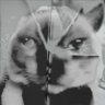 bebê reborn que chora e mama's profile picture