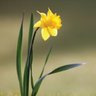 Фото профиля Keylin Gilas