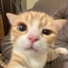 jeromi's profile picture