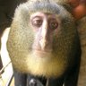 👑-Kong Kret profil fotoğrafı