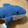 SHIGYO's profile picture