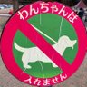 わんち🐶 profil fotoğrafı