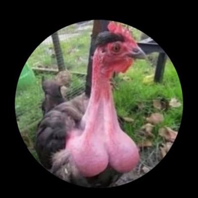 Proudfa33's profile picture