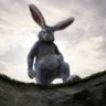 Roger Rabbithole 的头像