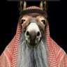 Profilbild von الناكح بامره سيدي بلبول