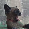 andre XAH profil fotoğrafı