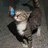 Hello! profil fotoğrafı