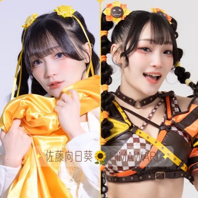 sugar3flower's profile picture