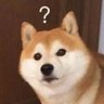 Profilbild von kkkkkkkkk